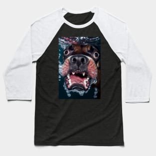 Dogs in Water #4 Baseball T-Shirt